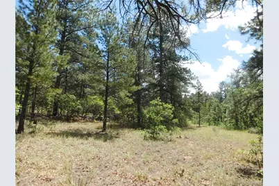 4977 Mohawk Drive, Larkspur, CO 80118 - Photo 15