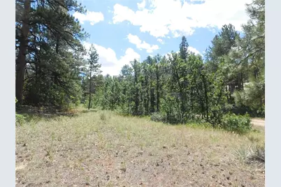 4977 Mohawk Drive, Larkspur, CO 80118 - Photo 17