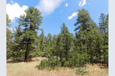 4977 Mohawk Drive, Larkspur, CO 80118 - Photo 5