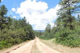 4977 Mohawk Dr, Larkspur, CO 80118 - Photo 1