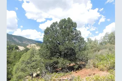 4977 Mohawk Drive, Larkspur, CO 80118 - Photo 39