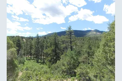 4977 Mohawk Drive, Larkspur, CO 80118 - Photo 33