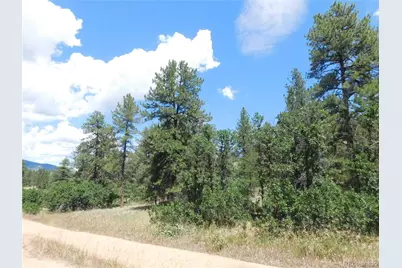4977 Mohawk Drive, Larkspur, CO 80118 - Photo 3
