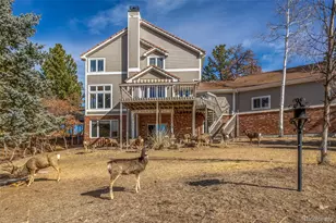 5953 Angie Ct, Parker, CO 80134 - Photo 1