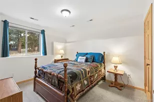 34 S Circle Dr, Bailey, CO 80421 - Photo 39