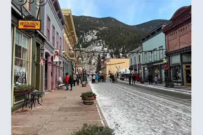 614 Rose Street, Georgetown, CO 80444 - Photo 13