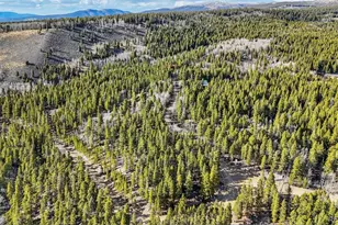 2443 Empire Valley Dr, Leadville, CO 80461 - Photo 41