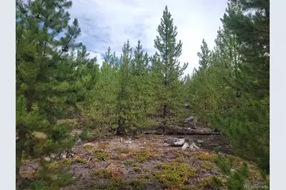65 Grand County Road 6621, Grand Lake, CO 80447 - Photo 5