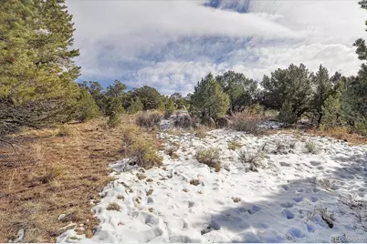 31950 Forest Service Road 376, Buena Vista, CO 81211 - Photo 33