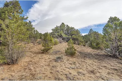 31950 Forest Service Road 376, Buena Vista, CO 81211 - Photo 15