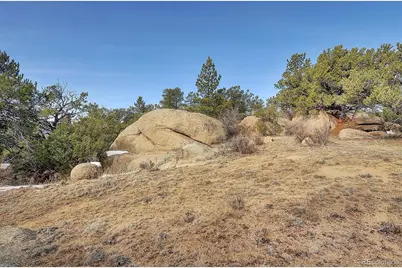 31950 Forest Service Road 376, Buena Vista, CO 81211 - Photo 3