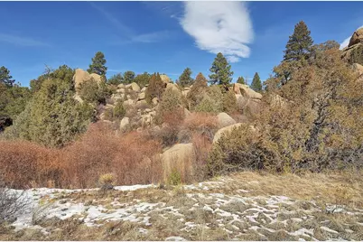 31950 Forest Service Road 376, Buena Vista, CO 81211 - Photo 7