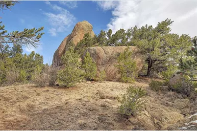 31950 Forest Service Road 376, Buena Vista, CO 81211 - Photo 9