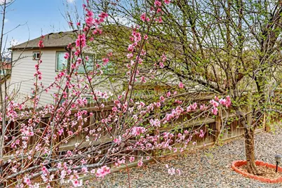 16049 Brooklime Court, Parker, CO 80134 - Photo 49