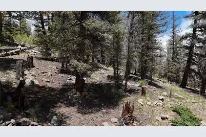 1348 Middle Fork Vista, Fairplay, CO 80440 - Photo 9