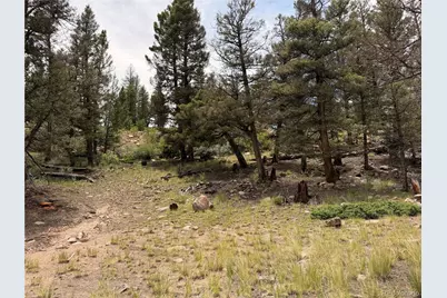 1348 Middle Fork Vista, Fairplay, CO 80440 - Photo 25