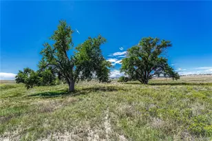 Fiddleback Ranch Rd, Kiowa, CO 80117 - Photo 21