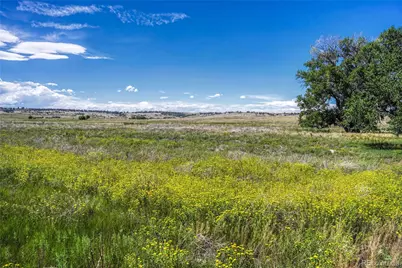 Fiddleback Ranch Road, Kiowa, CO 80117 - Photo 13