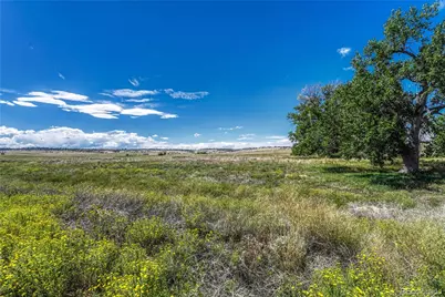 Fiddleback Ranch Road, Kiowa, CO 80117 - Photo 19