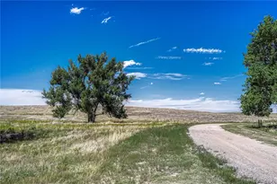 Fiddleback Ranch Rd, Kiowa, CO 80117 - Photo 17