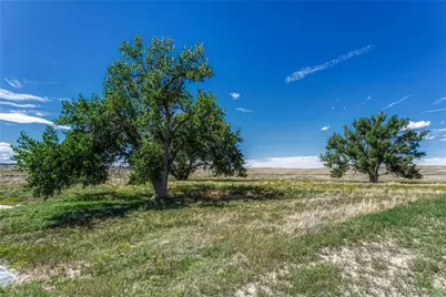 Fiddleback Ranch Road, Kiowa, CO 80117 - Photo 23