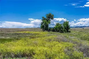 Fiddleback Ranch Rd, Kiowa, CO 80117 - Photo 15