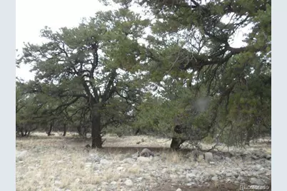 3730 Cordial Way, Crestone, CO 81131 - Photo 1