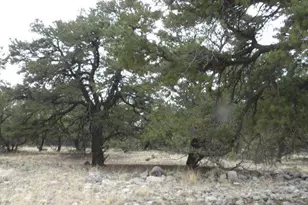 3730 Cordial Way, Crestone, CO 81131 - Photo 1