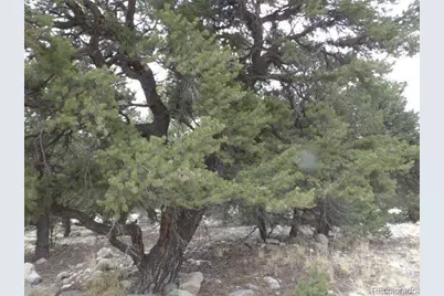 3730 Cordial Way, Crestone, CO 81131 - Photo 5