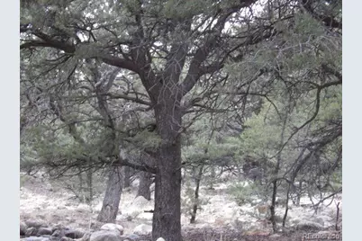 3730 Cordial Way, Crestone, CO 81131 - Photo 3