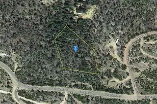 86 Natchez Cir, Red Feather Lakes, CO 80545 - Photo 1