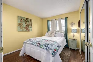 395 Mountain Cloud Cir, Highlands Ranch, CO 80126 - Photo 23