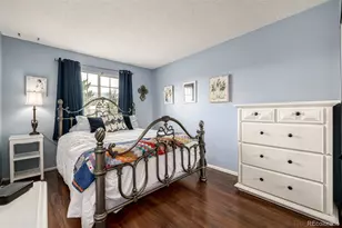 395 Mountain Cloud Cir, Highlands Ranch, CO 80126 - Photo 19