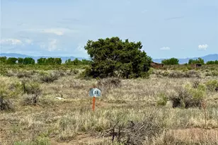 1408 & 1409 W Badger Rd, Crestone, CO 81131 - Photo 1