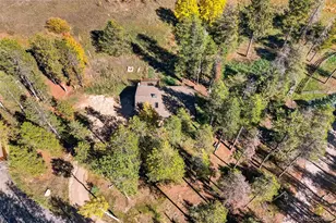 10868 Norton Ave, Conifer, CO 80433 - Photo 27