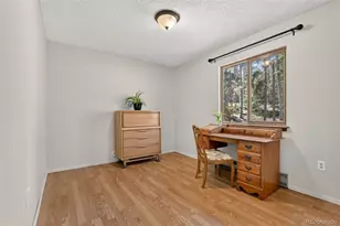 10868 Norton Ave, Conifer, CO 80433 - Photo 13