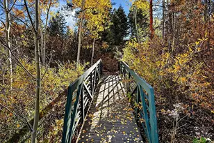 20341 Maxwell Dr, Morrison, CO 80465 - Photo 47