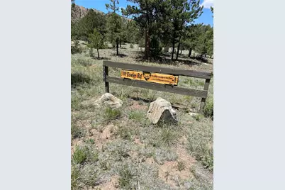776 Fowler Road, Westcliffe, CO 81252 - Photo 1