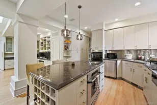 300 N Lafayette St, Denver, CO 80218 - Photo 3