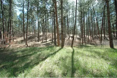 856 Woodridge Road, Franktown, CO 80116 - Photo 7