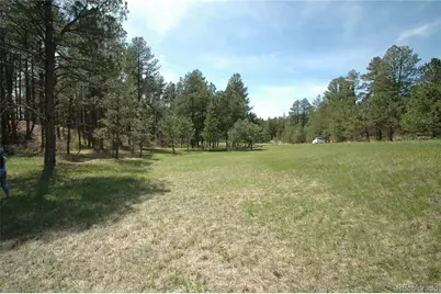 856 Woodridge Road, Franktown, CO 80116 - Photo 3