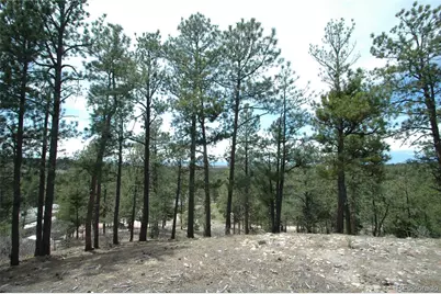 856 Woodridge Road, Franktown, CO 80116 - Photo 15