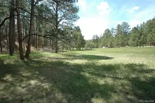 856 Woodridge Rd, Franktown, CO 80116 - Photo 1