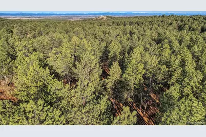 856 Woodridge Road, Franktown, CO 80116 - Photo 23