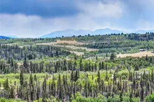 53 Fawn Ct, Como, CO 80432 - Photo 41