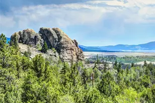 53 Fawn Ct, Como, CO 80432 - Photo 39