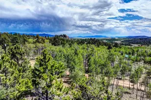 53 Fawn Ct, Como, CO 80432 - Photo 47