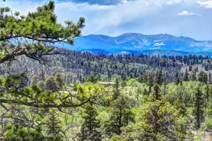 53 Fawn Ct, Como, CO 80432 - Photo 43