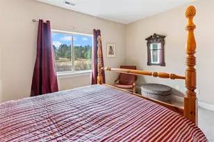 1310 Longs Point, Woodland Park, CO 80863 - Photo 33
