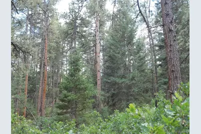 8169 Bannock Drive, Larkspur, CO 80118 - Photo 13
